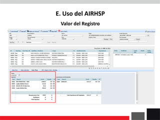 Valor del Registro
E. Uso del AIRHSP
 