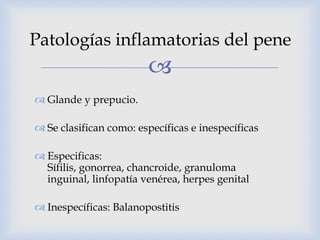 Patologías inflamatorias del pene
                        
 Glande y prepucio.

 Se clasifican como: específicas e ines...