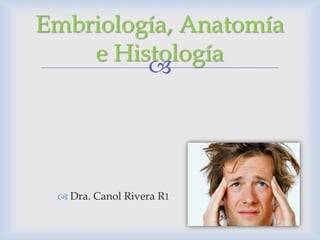 Embriología, Anatomía
    e Histología
         




  Dra. Canol Rivera R1
 