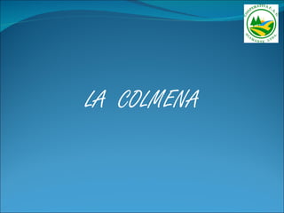 LA COLMENA
 