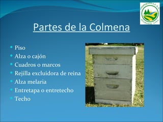 Partes de la Colmena
 Piso
 Alza o cajón
 Cuadros o marcos
 Rejilla excluidora de reina
 Alza melaria
 Entretapa o entretecho
 Techo
 