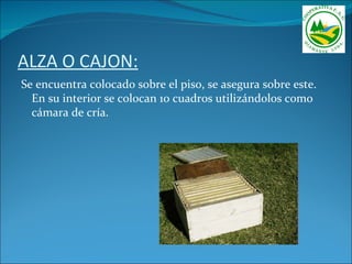 ALZA O CAJON:
Se encuentra colocado sobre el piso, se asegura sobre este.
  En su interior se colocan 10 cuadros utilizándolos como
  cámara de cría.
 