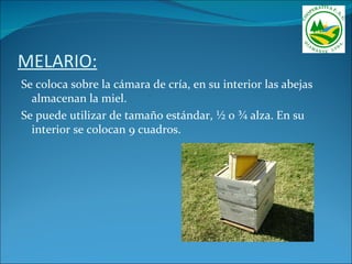 MELARIO:
Se coloca sobre la cámara de cría, en su interior las abejas
  almacenan la miel.
Se puede utilizar de tamaño estándar, ½ 0 ¾ alza. En su
  interior se colocan 9 cuadros.
 