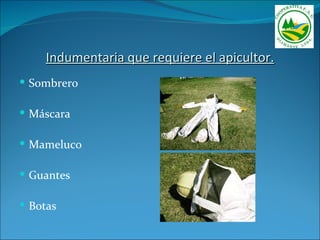 Indumentaria que requiere el apicultor.
 Sombrero

 Máscara

 Mameluco

 Guantes

 Botas
 