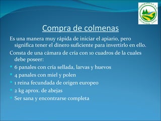Compra de colmenas
Es una manera muy rápida de iniciar el apiario, pero
  significa tener el dinero suficiente para invertirlo en ello.
Consta de una cámara de cría con 10 cuadros de la cuales
  debe poseer:
 6 panales con cría sellada, larvas y huevos
 4 panales con miel y polen
 1 reina fecundada de origen europeo
 2 kg aprox. de abejas
 Ser sana y encontrarse completa
 