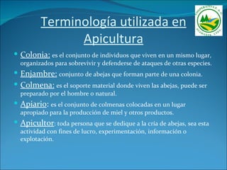 Terminología utilizada en
               Apicultura
 Colonia: es el conjunto de individuos que viven en un mismo lugar,
  organizados para sobrevivir y defenderse de ataques de otras especies.
 Enjambre: conjunto de abejas que forman parte de una colonia.
 Colmena: es el soporte material donde viven las abejas, puede ser
  preparado por el hombre o natural.
 Apiario: es el conjunto de colmenas colocadas en un lugar
  apropiado para la producción de miel y otros productos.
 Apicultor: toda persona que se dedique a la cría de abejas, sea esta
  actividad con fines de lucro, experimentación, información o
  explotación.
 