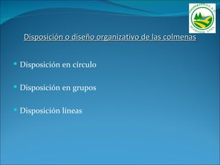 Disposición o diseño organizativo de las colmenas


 Disposición en círculo


 Disposición en grupos


 Disposición líneas
 