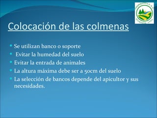 Colocación de las colmenas
 Se utilizan banco o soporte
 Evitar la humedad del suelo
 Evitar la entrada de animales
 La altura máxima debe ser a 50cm del suelo
 La selección de bancos depende del apicultor y sus
 necesidades.
 