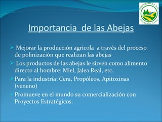 Importancia de las Abejas
 Mejorar la producción agrícola a través del proceso
  de polinización que realizan las abejas
 Los productos de las abejas le sirven como alimento
  directo al hombre: Miel, Jalea Real, etc.
 Para la industria: Cera, Propóleos, Apitoxinas
  (veneno)
 Promueve en el mundo su comercialización con
  Proyectos Estratégicos.
 