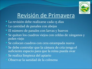 Revisión de Primavera
   La revisión debe realizarse cada 15 días
   La cantidad de panales con abejas
   El número de panales con larvas y huevos
   Se quitan los cuadros viejos con celdas de zánganos y
    polen viejo
   Se colocan cuadros con cera estampada nueva
   Se debe controlar que la cámara de cría tenga el
    suficiente espacio para que la reina pueda ovar
   Se realiza limpieza del apiario
   Observar la sanidad de la colmena
 
