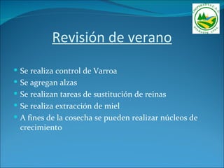 Revisión de verano
 Se realiza control de Varroa
 Se agregan alzas
 Se realizan tareas de sustitución de reinas
 Se realiza extracción de miel
 A fines de la cosecha se pueden realizar núcleos de
 crecimiento
 