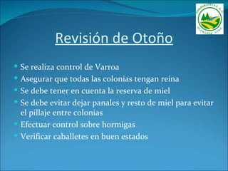 Revisión de Otoño
 Se realiza control de Varroa
 Asegurar que todas las colonias tengan reina
 Se debe tener en cuenta la reserva de miel
 Se debe evitar dejar panales y resto de miel para evitar
  el pillaje entre colonias
 Efectuar control sobre hormigas
 Verificar caballetes en buen estados
 