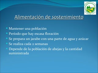 Alimentación de sostenimiento
 Mantener una población
 Período que hay escasa floración
 Se prepara un jarabe con una parte de agua y azúcar
 Se realiza cada 2 semanas
 Depende de la población de abejas y la cantidad
 suministrada
 