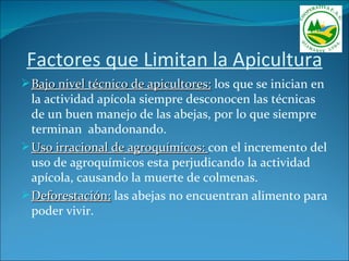 Factores que Limitan la Apicultura
 Bajo nivel técnico de apicultores: los que se inician en
  la actividad apícola siempre desconocen las técnicas
  de un buen manejo de las abejas, por lo que siempre
  terminan abandonando.
 Uso irracional de agroquímicos: con el incremento del
  uso de agroquímicos esta perjudicando la actividad
  apícola, causando la muerte de colmenas.
 Deforestación: las abejas no encuentran alimento para
  poder vivir.
 