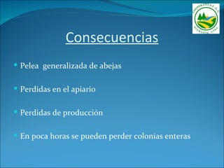 Consecuencias
 Pelea generalizada de abejas


 Perdidas en el apiario


 Perdidas de producción


 En poca horas se pueden perder colonias enteras
 
