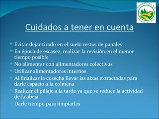 Cuidados a tener en cuenta
 Evitar dejar tirado en el suelo restos de panales
 En época de escasez, realizar la revisión en el menor
    tiempo posible
   No alimentar con alimentadores colectivos
   Utilizar alimentadores internos
   Al finalizar la cosecha llevar las alzas extractadas para
    darle espacio a la colmena
   Realizar el pillaje a la tarde ya que se reduce la actividad
    de la abeja
   Darle tiempo para limpiarlas
 
