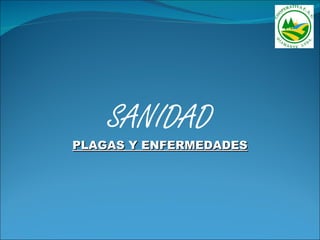SANIDAD
PLAGAS Y ENFERMEDADES
 