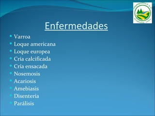 Enfermedades
   Varroa
   Loque americana
   Loque europea
   Cría calcificada
   Cría ensacada
   Nosemosis
   Acariosis
   Amebiasis
   Disentería
   Parálisis
 