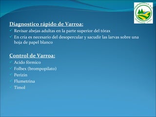 Diagnostico rápido de Varroa:
 Revisar abejas adultas en la parte superior del tórax
 En cría es necesario del desopercular y sacudir las larvas sobre una
  hoja de papel blanco


Control de Varroa:
 Acido fórmico
 Folbex (brompopilato)
 Perizin
 Flumetrina
 Timol
 