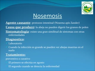 Nosemosis
Agente causante: protozoo intestinal (Nosema apis Zander)
Causa que produce: la abeja no pueden digerir los granos de polen
Sintomatología: existe una gran similitud de síntomas con otras
  enfermedades
Diagnostico:
 Laboratorio
 Cuando la infección es grande se pueden ver abejas muertas en el
  suelo
Tratamiento:
preventivo o curativo
 El primero se efectúa en agosto
 El segundo cuando se detecta la enfermedad
 