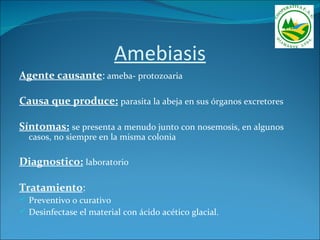 Amebiasis
Agente causante: ameba- protozoaria

Causa que produce: parasita la abeja en sus órganos excretores

Síntomas: se presenta a menudo junto con nosemosis, en algunos
  casos, no siempre en la misma colonia

Diagnostico: laboratorio

Tratamiento:
 Preventivo o curativo
 Desinfectase el material con ácido acético glacial.
 