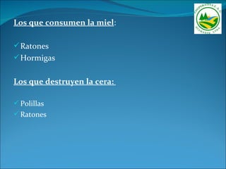 Los que consumen la miel:

 Ratones
 Hormigas


Los que destruyen la cera:

 Polillas
 Ratones
 