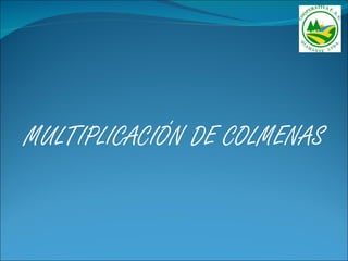 MULTIPLICACIÓN DE COLMENAS
 