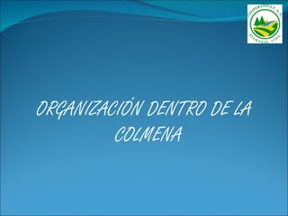 ORGANIZACIÓN DENTRO DE LA
         COLMENA
 