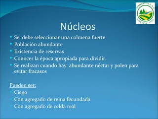 Núcleos
   Se debe seleccionar una colmena fuerte
   Población abundante
   Existencia de reservas
   Conocer la época apropiada para dividir.
   Se realizan cuando hay abundante néctar y polen para
    evitar fracasos

Pueden ser:
 Ciego
 Con agregado de reina fecundada
 Con agregado de celda real
 