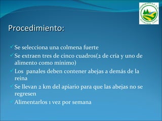 Procedimiento:

 Se selecciona una colmena fuerte
 Se extraen tres de cinco cuadros(2 de cría y uno de
  alimento como mínimo)
 Los panales deben contener abejas a demás de la
  reina
 Se llevan 2 km del apiario para que las abejas no se
  regresen
 Alimentarlos 1 vez por semana
 
