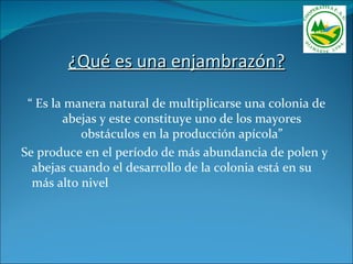 ¿Qué es una enjambrazón?

 “ Es la manera natural de multiplicarse una colonia de
        abejas y este constituye uno de los mayores
           obstáculos en la producción apícola”
Se produce en el período de más abundancia de polen y
  abejas cuando el desarrollo de la colonia está en su
  más alto nivel
 