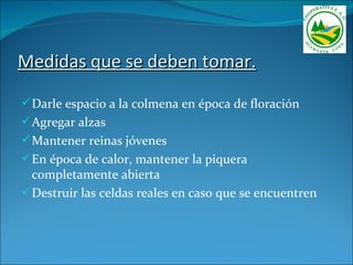 Medidas que se deben tomar.

 Darle espacio a la colmena en época de floración
 Agregar alzas
 Mantener reinas jóvenes
 En época de calor, mantener la piquera
  completamente abierta
 Destruir las celdas reales en caso que se encuentren
 