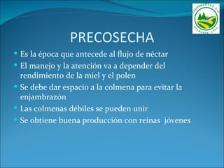 PRECOSECHA
 Es la época que antecede al flujo de néctar
 El manejo y la atención va a depender del
  rendimiento de la miel y el polen
 Se debe dar espacio a la colmena para evitar la
  enjambrazón
 Las colmenas débiles se pueden unir
 Se obtiene buena producción con reinas jóvenes
 