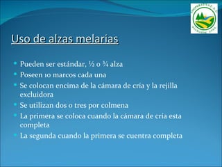 Uso de alzas melarias
 Pueden ser estándar, ½ 0 ¾ alza
 Poseen 10 marcos cada una
 Se colocan encima de la cámara de cría y la rejilla
  excluidora
 Se utilizan dos o tres por colmena
 La primera se coloca cuando la cámara de cría esta
  completa
 La segunda cuando la primera se cuentra completa
 