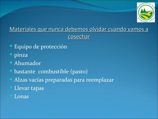 Materiales que nunca debemos olvidar cuando vamos a
                      cosechar
 Equipo de protección
 pinza
 Ahumador
 bastante combustible (pasto)
 Alzas vacías preparadas para reemplazar
 Llevar tapas
 Lonas
 