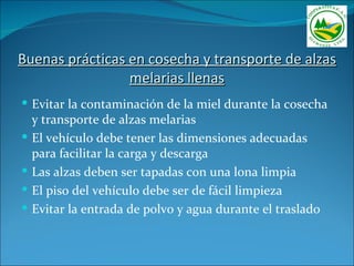 Buenas prácticas en cosecha y transporte de alzas
                 melarias llenas
 Evitar la contaminación de la miel durante la cosecha
    y transporte de alzas melarias
   El vehículo debe tener las dimensiones adecuadas
    para facilitar la carga y descarga
   Las alzas deben ser tapadas con una lona limpia
   El piso del vehículo debe ser de fácil limpieza
   Evitar la entrada de polvo y agua durante el traslado
 