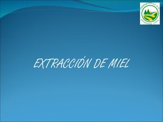 EXTRACCIÓN DE MIEL
 