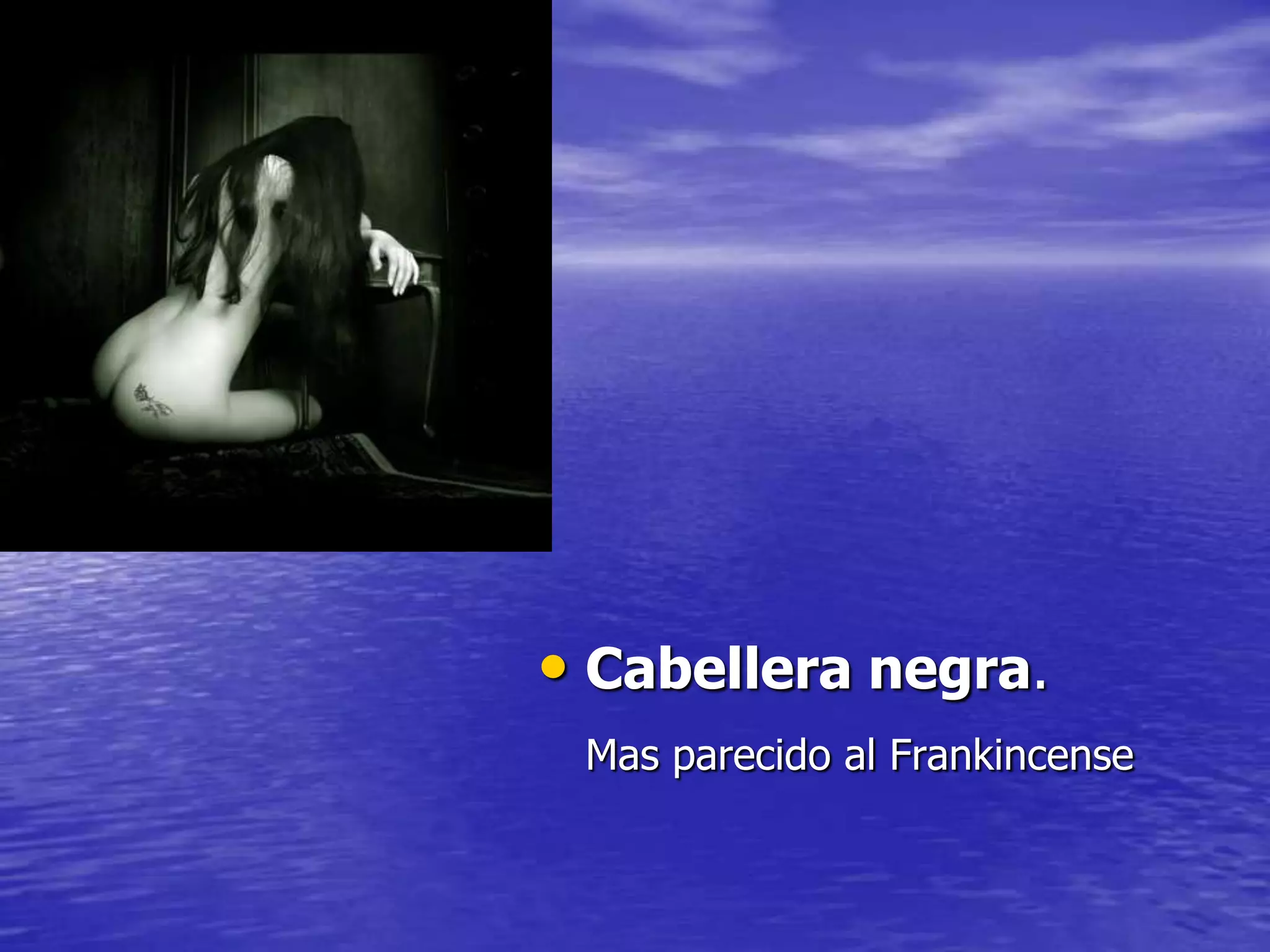 • Cabellera negra.
Mas parecido al Frankincense

 