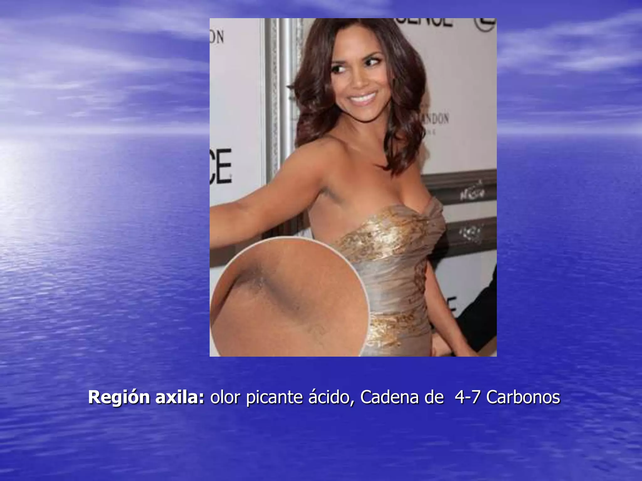 Región axila: olor picante ácido, Cadena de 4-7 Carbonos

 