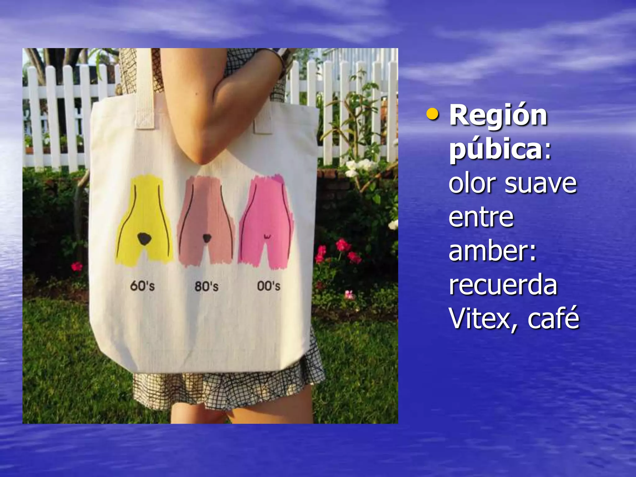 • Región

púbica:
olor suave
entre
amber:
recuerda
Vitex, café

 