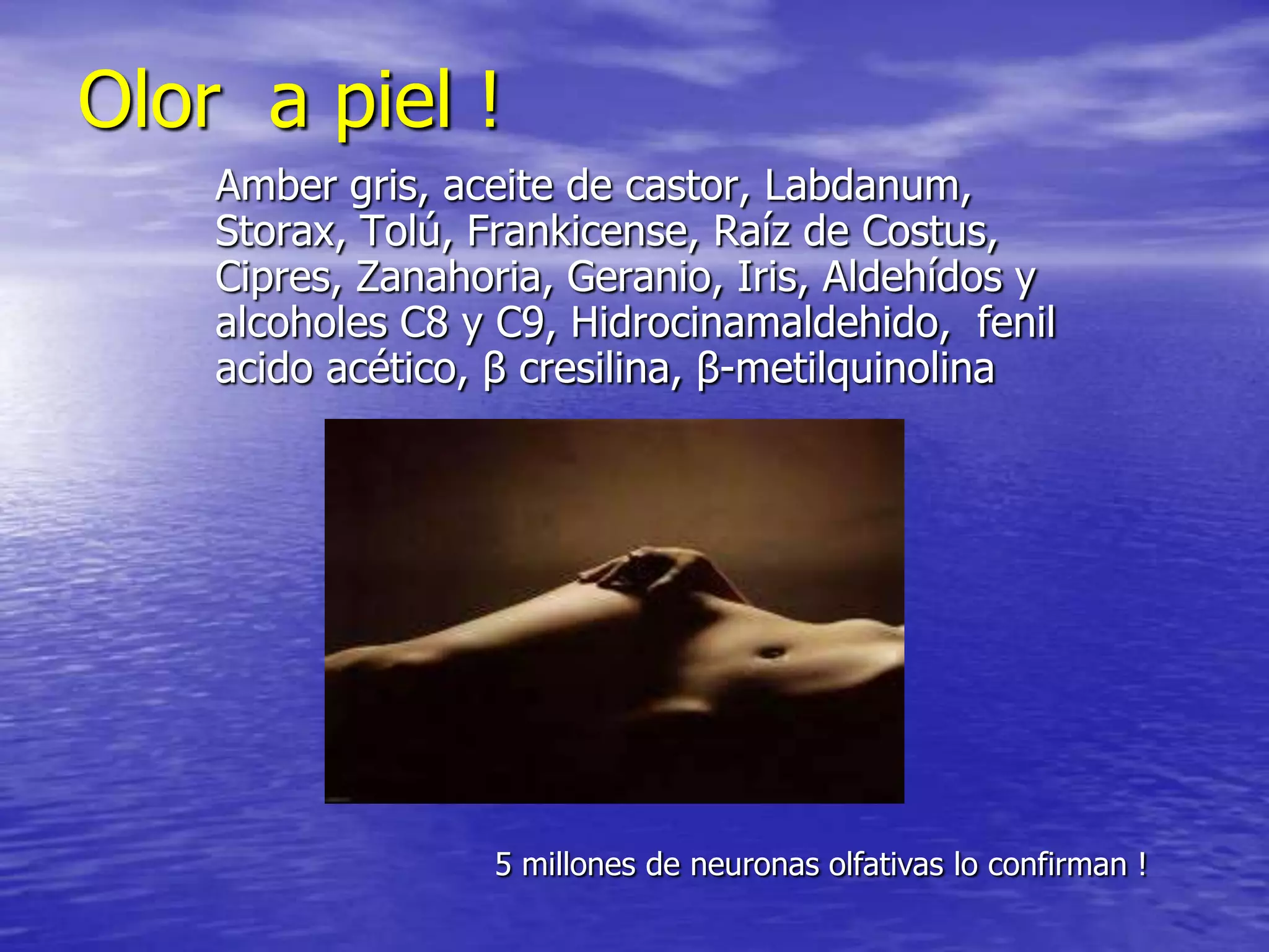 Olor a piel !
Amber gris, aceite de castor, Labdanum,
Storax, Tolú, Frankicense, Raíz de Costus,
Cipres, Zanahoria, Geranio, Iris, Aldehídos y
alcoholes C8 y C9, Hidrocinamaldehido, fenil
acido acético, β cresilina, β-metilquinolina

5 millones de neuronas olfativas lo confirman !

 
