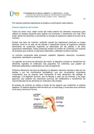 UNIVERSIDAD NACIONAL ABIERTA Y A DISTANCIA – UNAD
                 ESCUELA DE CIENCIAS BASICAS, TECNOLOGÍA E INGENIERIA
               CONTENIDO DIDÁCTICO DEL CURSO: 210101 – BIOLOGIA
                                                                                         63

Por razones prácticas explicativas se analiza a continuación cada sistema.

Sistema digestivo del hombre

Todos los seres vivos, deben tomar del medio exterior los alimentos necesarios para
obtener la energía requerida para realizar sus funciones y mantenerse con vida. Para
poder utilizar los alimentos y convertirlos en energía el organismo realiza la función de la
nutrición.

Existen dos tipos de nutrición: autótrofa cuando los organismos producen su propio
alimento como en el caso de las plantas y heterótrofa cuando el organismo necesita
alimentarse de sustancias orgánicas ya elaboradas por las plantas o de otros
organismos heterótrofos. Estas sustancias reciben el nombre de nutrientes y el conjunto
de procesos que se llevan a cabo para obtenerlas y utilizarlas se llama nutrición.

La nutrición comprende siete procesos: ingestión, digestión, absorción, circulación,
respiración, asimilación y secreción.

La ingestión es la toma de alimentos del medio, la digestión consiste en transformar los
alimentos ingeridos en moléculas más pequeñas: los nutrientes, que pueden ser
fácilmente absorbidos y distribuidos por todo el organismo.

Podemos diferenciar dos tipos de digestion: la digestion mécanica, llevada a cabo por los
dientes y por los movimientos peristálticos, que son movimientos musculares
involuntarios que se originan para transportar el bolo alimenticio del esófago al
estómago, y la digestión química, que es llevada a cabo por las enzimas y los jugos
gastricos, que aceleran las reacciones químicas del metabolismo y transforman las
macromoleculas de los alimentos en moleculas más simples.

El proceso de nutrición se realiza a través de los órganos que conforman el sistema
digestivo. El sistema digestivo esta formado por un tubo largo y musculoso que comienza
en la boca y termina en el ano.




                                                                                         63
 