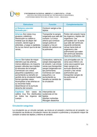UNIVERSIDAD NACIONAL ABIERTA Y A DISTANCIA – UNAD
                 ESCUELA DE CIENCIAS BASICAS, TECNOLOGÍA E INGENIERIA
               CONTENIDO DIDÁCTICO DEL CURSO: 210101 – BIOLOGIA
                                                                                           71

             Estructura                      Función             Complementación
   c) Sistema vascular                Conducir sangre a los
   formado por :                      tejidos
   Arterias Son tubos muy             Transportar la sangre    Parten del corazón hacia
   gruesos y elásticos;               oxigenada que sale del   los órganos y tejidos del
   disminuyen su calibre a            corazón. La única        organismo. Las
   medida que se alejan del           arteria que conduce      principales son: la aorta
   corazón, dando lugar a             sangre pobre en          que sale del ventrículo
   arteriolas, y luego a capilares.   oxígeno y rica en        izquierdo emitiendo
   Su luz es menor que la de las      bióxido de carbono es    ramas hacia todo el
   venas.                             la pulmonar.             organismo y las
                                                               pulmonares que salen
                                                               del ventrículo derecho
                                                               hacia los pulmones.
   Venas Son tubos de mayor           Conductora, retorna la   Las principales son: la
   diámetro que las arterias,         sangre desoxigenada      vena cava inferior y la
   menos elásticas y la mayoría       al corazón. Las únicas   vena cava superior que
   poseen válvulas que impiden        venas que transportan    traen sangre a la
   el retroceso de la sangre.         sangre oxigenada son     aurícula derecha del
   Comienzan con vasos                las pulmonares.          corazón y las venas
   pequeños (capilares) y van         Comienza con vasos       pulmonares que
   aumentando su tamaño en            pequeños y va            transportan sangre de
   sentido de la circulación hasta    aumentando su            los pulmones al
   formar grandes vasos.              tamaño en sentido de     corazón..
   Acompañan a las arterias en        la circulación
   su recorrido hasta
   desembocar en la aurícula
   derecha del corazón.
   Capilares Son vasos de             Intercambio de
   calibre muy fino distribuidos      sustancias en los
   en todos los órganos del           tejidos
   cuerpo.                            Aportan nutrientes
                                      Recogen desechos

Circulación sanguínea

La circulación es un circuito cerrado, se inicia en el corazón y termina en el corazón. La
circulación se divide en circulación menor de corazón a pulmones y circulación mayor de
corazón a todos los tejidos y retorno al corazón.




                                                                                           71
 