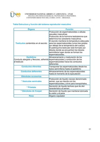 UNIVERSIDAD NACIONAL ABIERTA Y A DISTANCIA – UNAD
               ESCUELA DE CIENCIAS BASICAS, TECNOLOGÍA E INGENIERIA
             CONTENIDO DIDÁCTICO DEL CURSO: 210101 – BIOLOGIA
                                                                                     83

Tabla Estructura y función del sistema reproductor masculino

               Órgano                                      Función
                                       Producción de espermatozoides o células
                                       sexuales masculinas
                                       Producción de la hormona testosterona que
                                       determina los caracteres masculinos.
                                       El escroto mantiene la temperatura adecuada
  Testículos contenidos en el escroto para los espermatozoides (unos tres grados
                                       por debajo de la temperatura del cuerpo)
                                       El parénquima testicular está formado por
                                       lóbulos donde se encuentran los túbulos
                                       seminiferos lugar donde se forman los
                                       espermatozoides.
               Epidídimo               Almacenamiento y maduración de los
Conducto alargado y flexuoso, adherido espermatozoides y conducción de los
al testiculo                           espermatozoides hacia los conductos
                                       deferentes
          Conductos eferentes          Transportar los espermatozoides desde los
                                       tubos semíniferos hasta el epididimo
         Conductos deferentes          Almacenamiento de los espermatozoides
                                       hasta el momento de la eyaculación
          Glándulas accesorias
                                       Producción de líquido viscoso denominado
         * Vesículas seminales         semen, que se mezcla con los
                                       espermatozoides y sirve para transpórtalos.
                                       Secreción de líquido lechoso que da olor
               * Próstata
                                       característico al semen
         * Glándulas de Cooper         Secreción de líquido que mantiene lubricada
                                       la uretra y el pene
                  Pene                 Órgano copulador




                                                                                     83
 