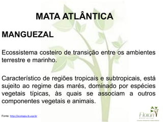 MANGUEZAL
Ecossistema costeiro de transição entre os ambientes
terrestre e marinho.
Característico de regiões tropicais e subtropicais, está
sujeito ao regime das marés, dominado por espécies
vegetais típicas, às quais se associam a outros
componentes vegetais e animais.
Fonte: http://ecologia.ib.usp.br
MATA ATLÂNTICA
 