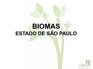 BIOMAS
ESTADO DE SÃO PAULO
 