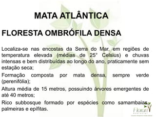 FLORESTA OMBRÓFILA DENSA
Localiza-se nas encostas da Serra do Mar, em regiões de
temperatura elevada (médias de 25° Celsius) e chuvas
intensas e bem distribuídas ao longo do ano, praticamente sem
estação seca;
Formação composta por mata densa, sempre verde
(perenifólia);
Altura média de 15 metros, possuindo árvores emergentes de
até 40 metros;
Rico subbosque formado por espécies como samambaias,
palmeiras e epífitas.
MATA ATLÂNTICA
 
