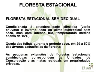 FLORESTA ESTACIONAL
FLORESTA ESTACIONAL SEMIDECIDUAL
Condicionada à estacionalidade climática (verão
chuvoso e inverno seco ou clima subtropical sem
seca, mas com intenso frio, temperaturas médias
abaixo de 15ºC);
Queda das folhas durante o período seco, em 20 a 50%
das árvores caducifólias da floresta;
As pequenas extensões de florestas estacionais
semidecíduas correspondem às Unidades de
Conservação e às matas residuais em propriedades
privadas.
 