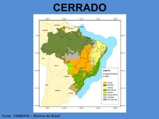 CERRADO
Fonte: EMBRAPA – Biomas do Brasil
 