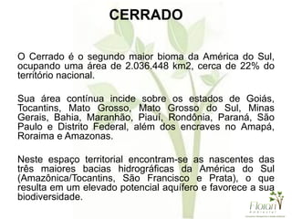 CERRADO
O Cerrado é o segundo maior bioma da América do Sul,
ocupando uma área de 2.036.448 km2, cerca de 22% do
território nacional.
Sua área contínua incide sobre os estados de Goiás,
Tocantins, Mato Grosso, Mato Grosso do Sul, Minas
Gerais, Bahia, Maranhão, Piauí, Rondônia, Paraná, São
Paulo e Distrito Federal, além dos encraves no Amapá,
Roraima e Amazonas.
Neste espaço territorial encontram-se as nascentes das
três maiores bacias hidrográficas da América do Sul
(Amazônica/Tocantins, São Francisco e Prata), o que
resulta em um elevado potencial aquífero e favorece a sua
biodiversidade.
 